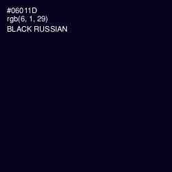 #06011D - Black Russian Color Image